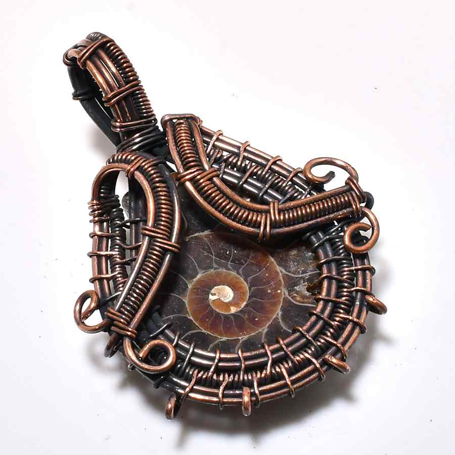 Spiral Embrace – Ammonite & Copper Pendant