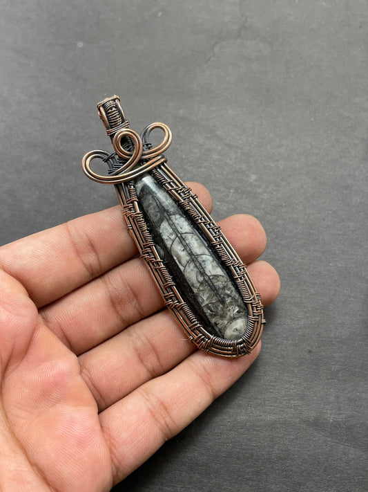 Black Orthoceras Gemstone Pendant
