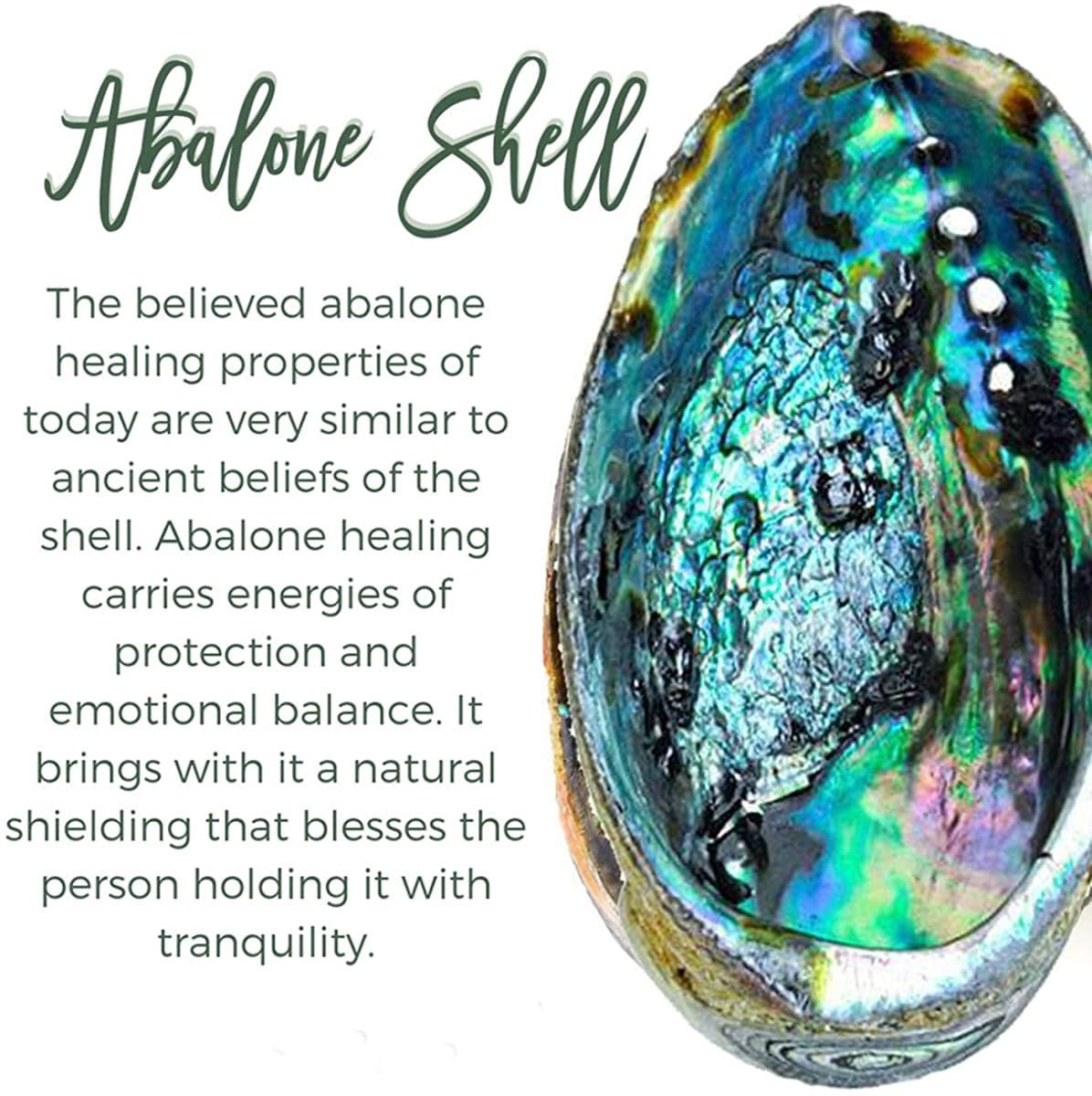 Copper Abalone Gemstone Pendant