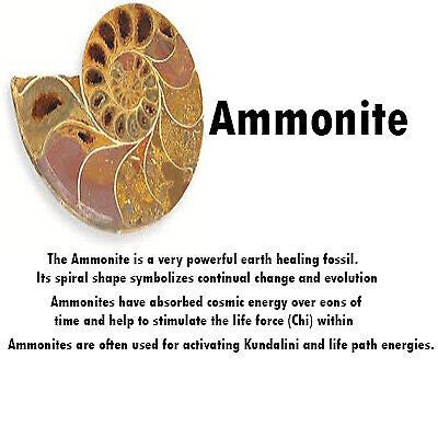 Brown Ammonite Gemstone Pendant