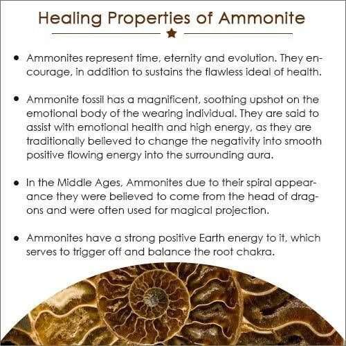 Rainbow Copper Ammonite Gemstone Pendant