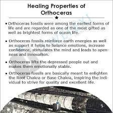 Copper Orthoceras Gemstone Pendant