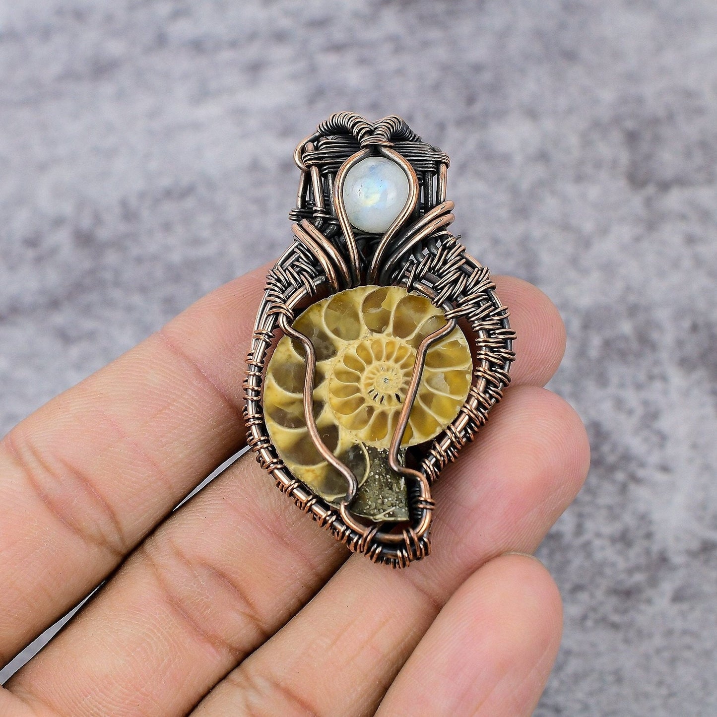 Copper Brown Ammonite Fossil Gemstone Pendant