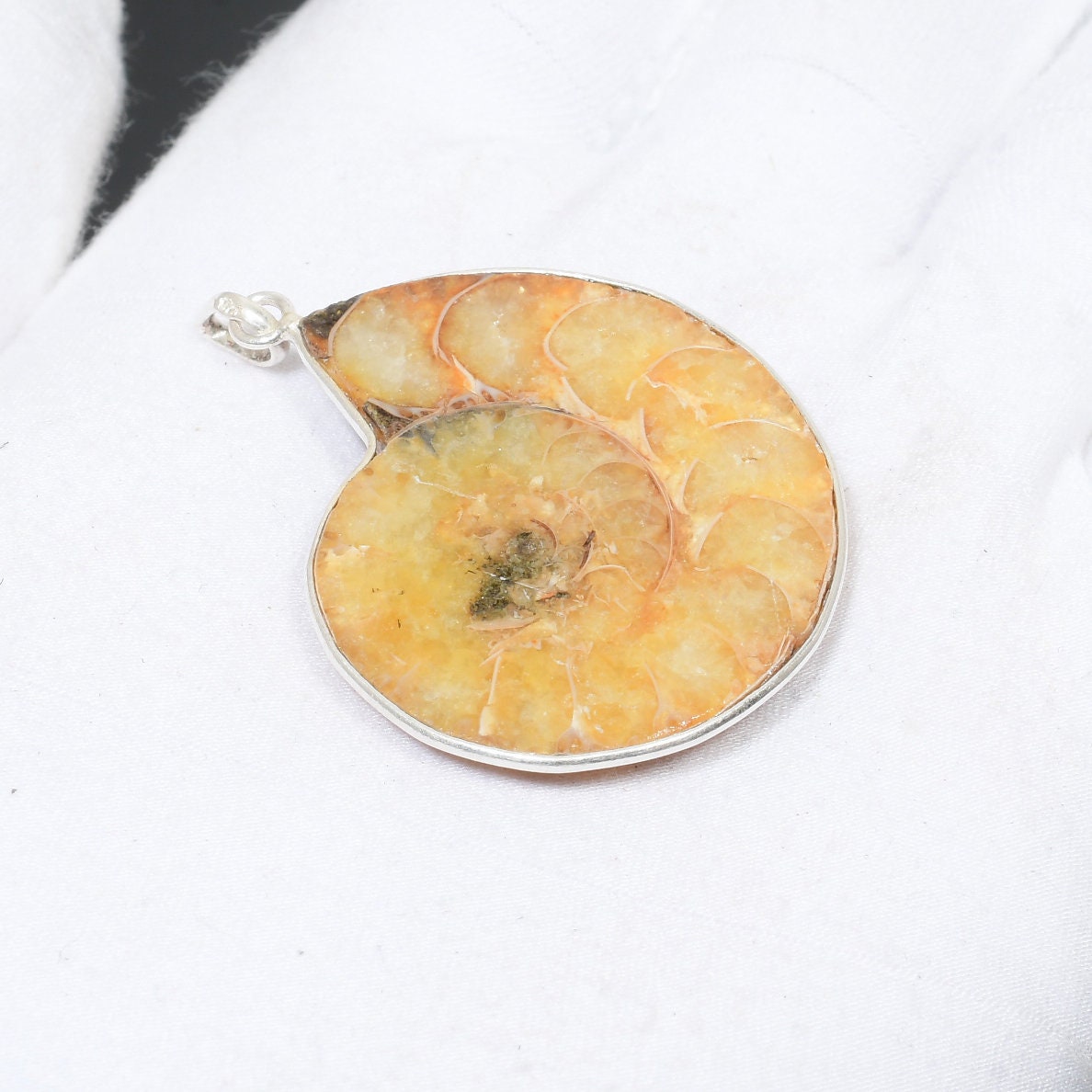 Brown Ammonite Gemstone Pendant