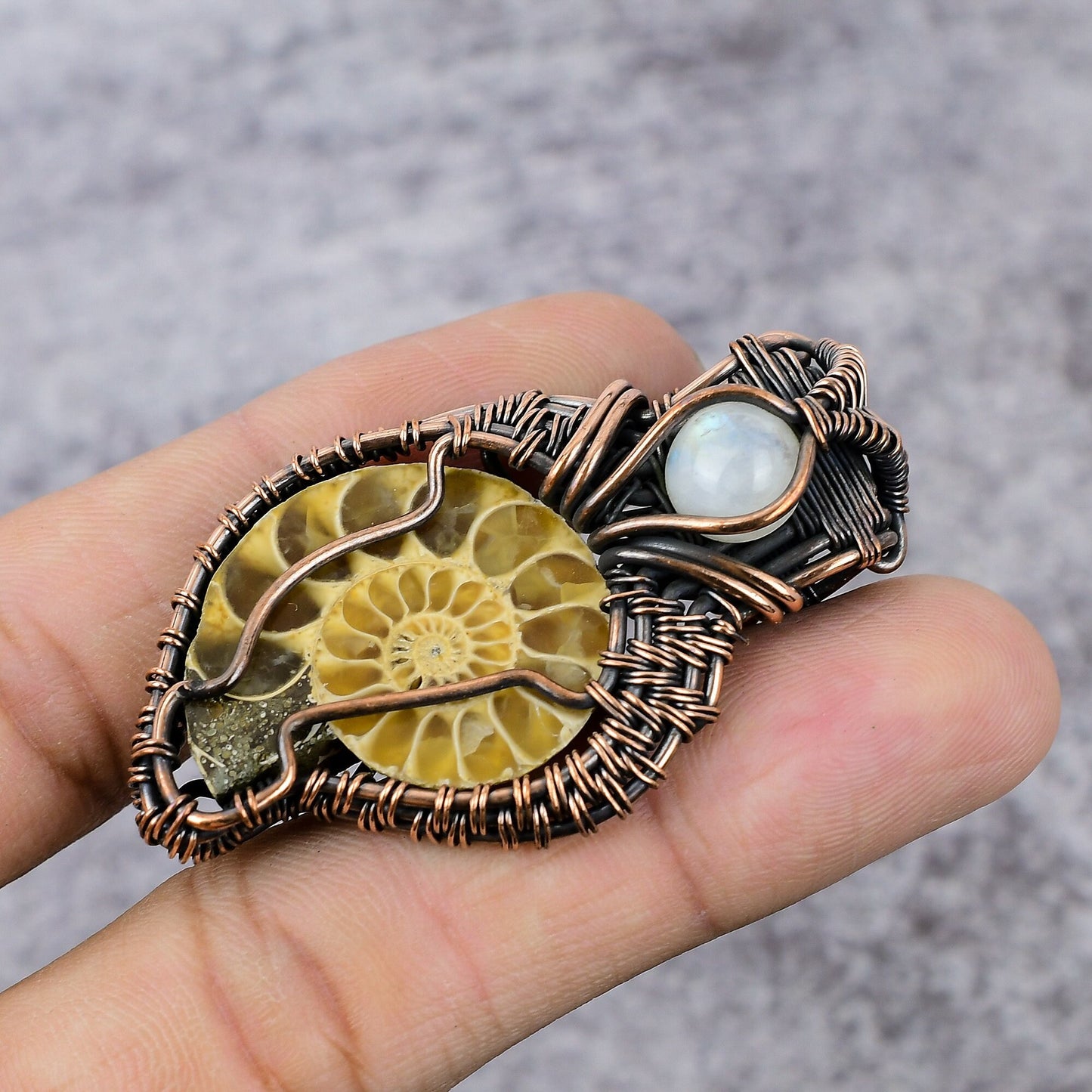 Copper Brown Ammonite Fossil Gemstone Pendant