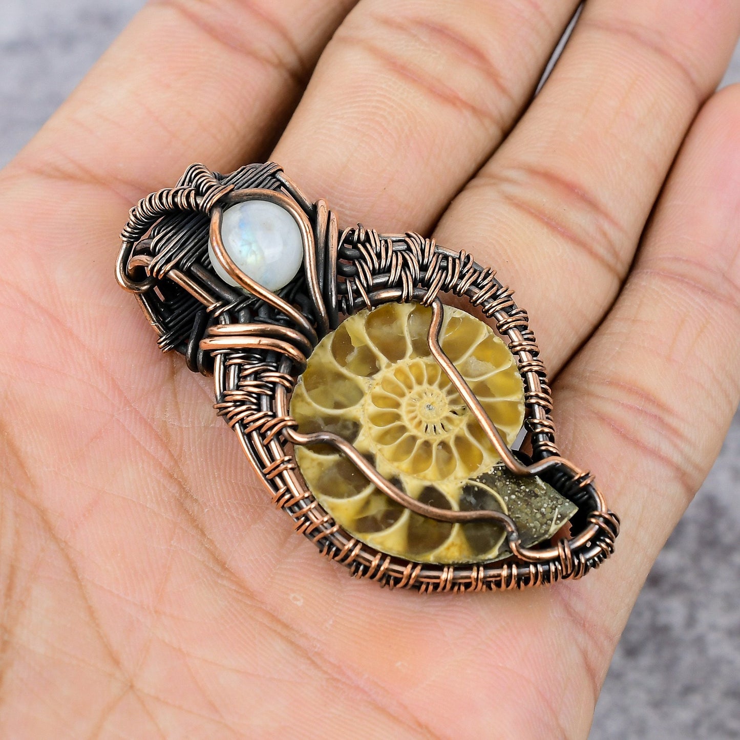 Copper Brown Ammonite Fossil Gemstone Pendant