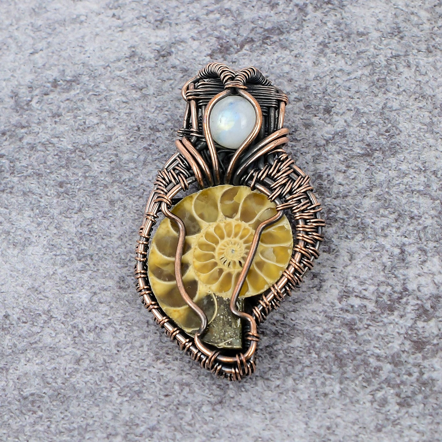 Copper Brown Ammonite Fossil Gemstone Pendant