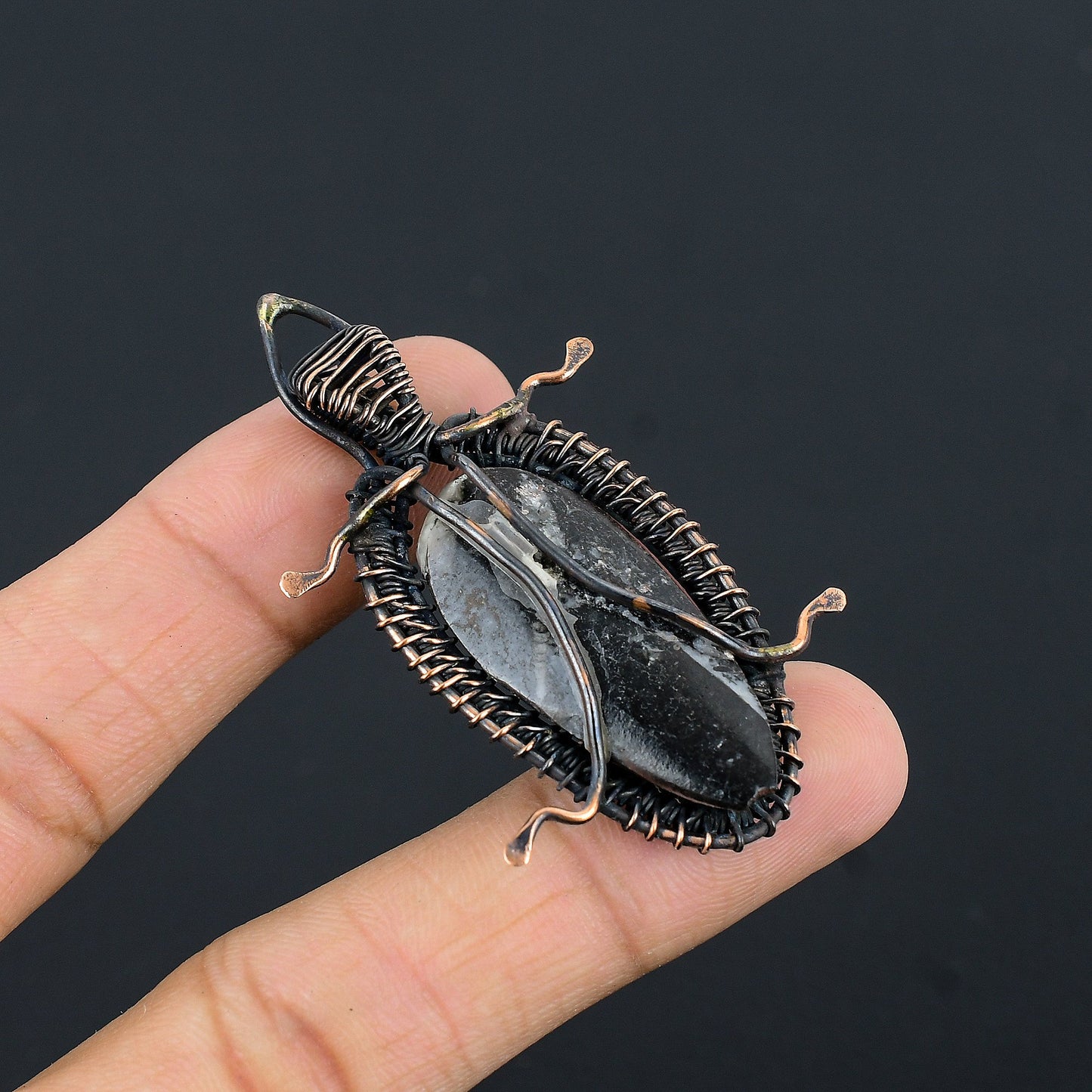 Black Orthoceras Gemstone Pendant