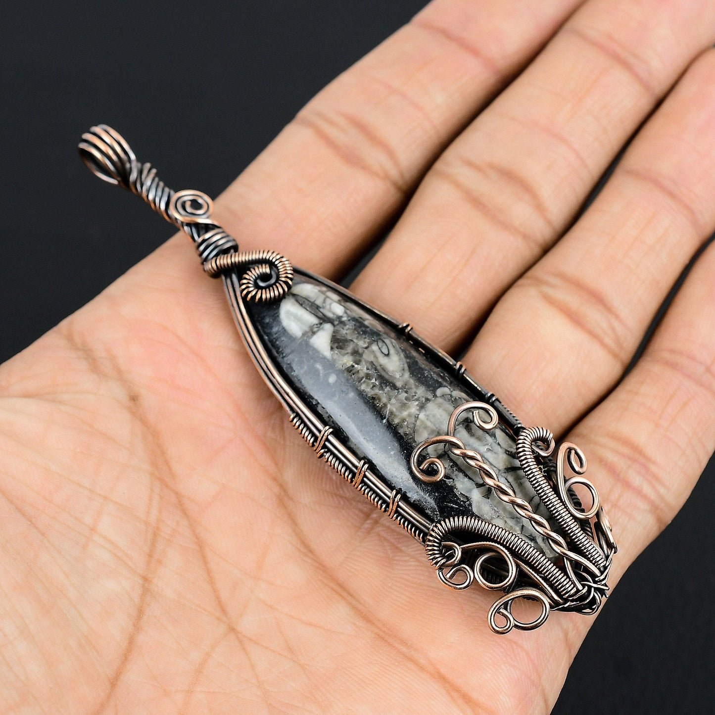 Black Orthoceras Gemstone Pendant