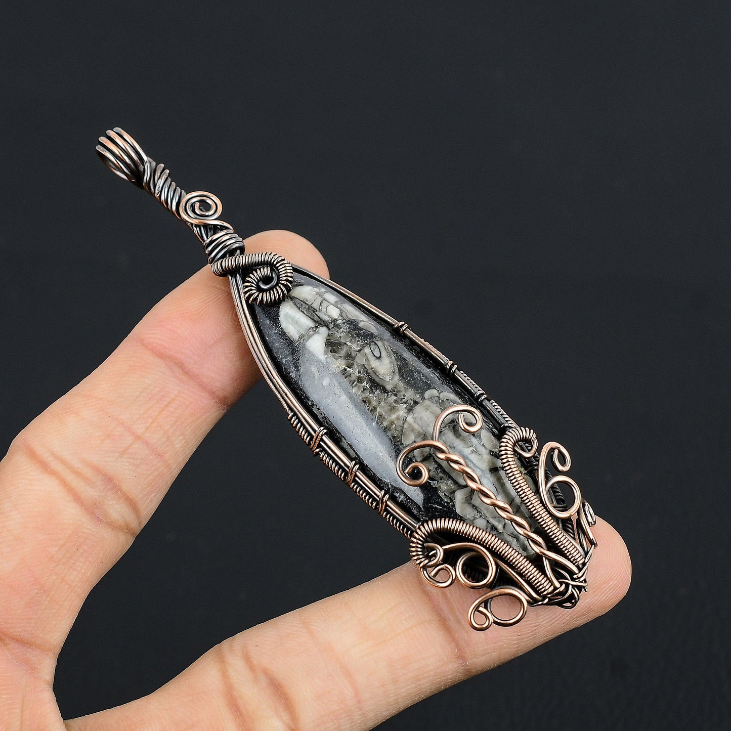 Black Orthoceras Gemstone Pendant