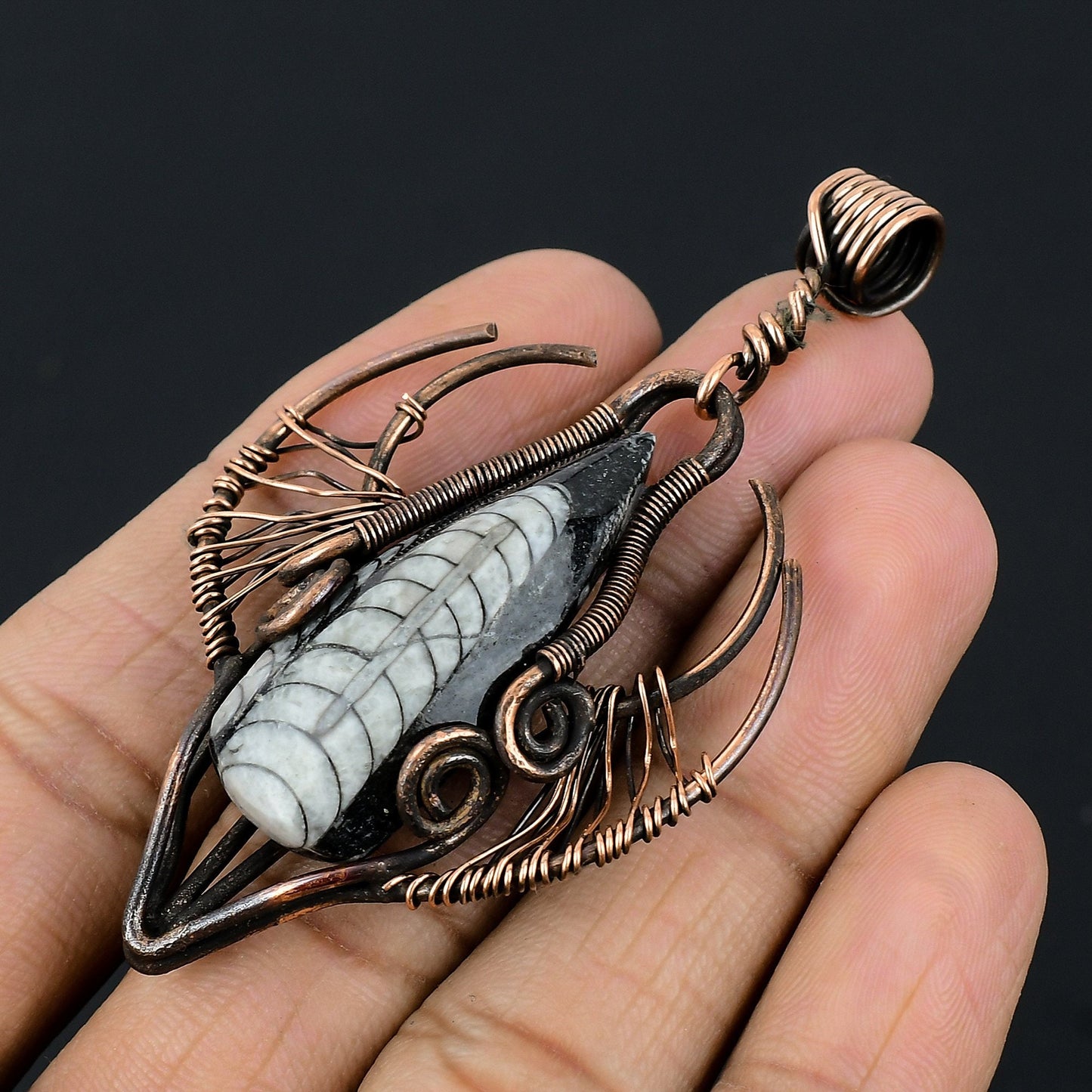 Copper Orthoceras Gemstone Pendant