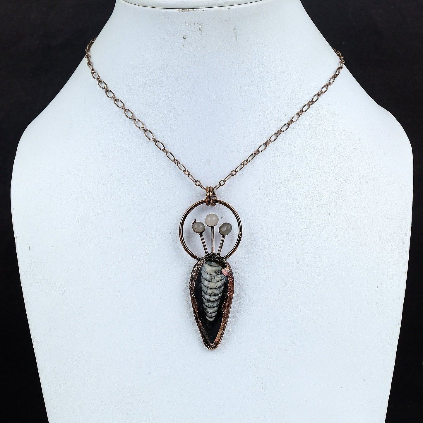 Black Orthoceras Gemstone Pendant