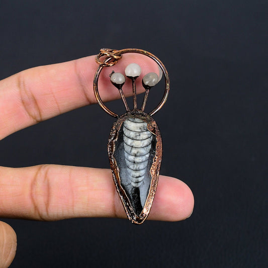 Black Orthoceras Gemstone Pendant