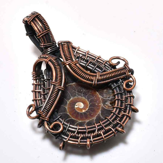Spiral Embrace – Ammonite & Copper Pendant
