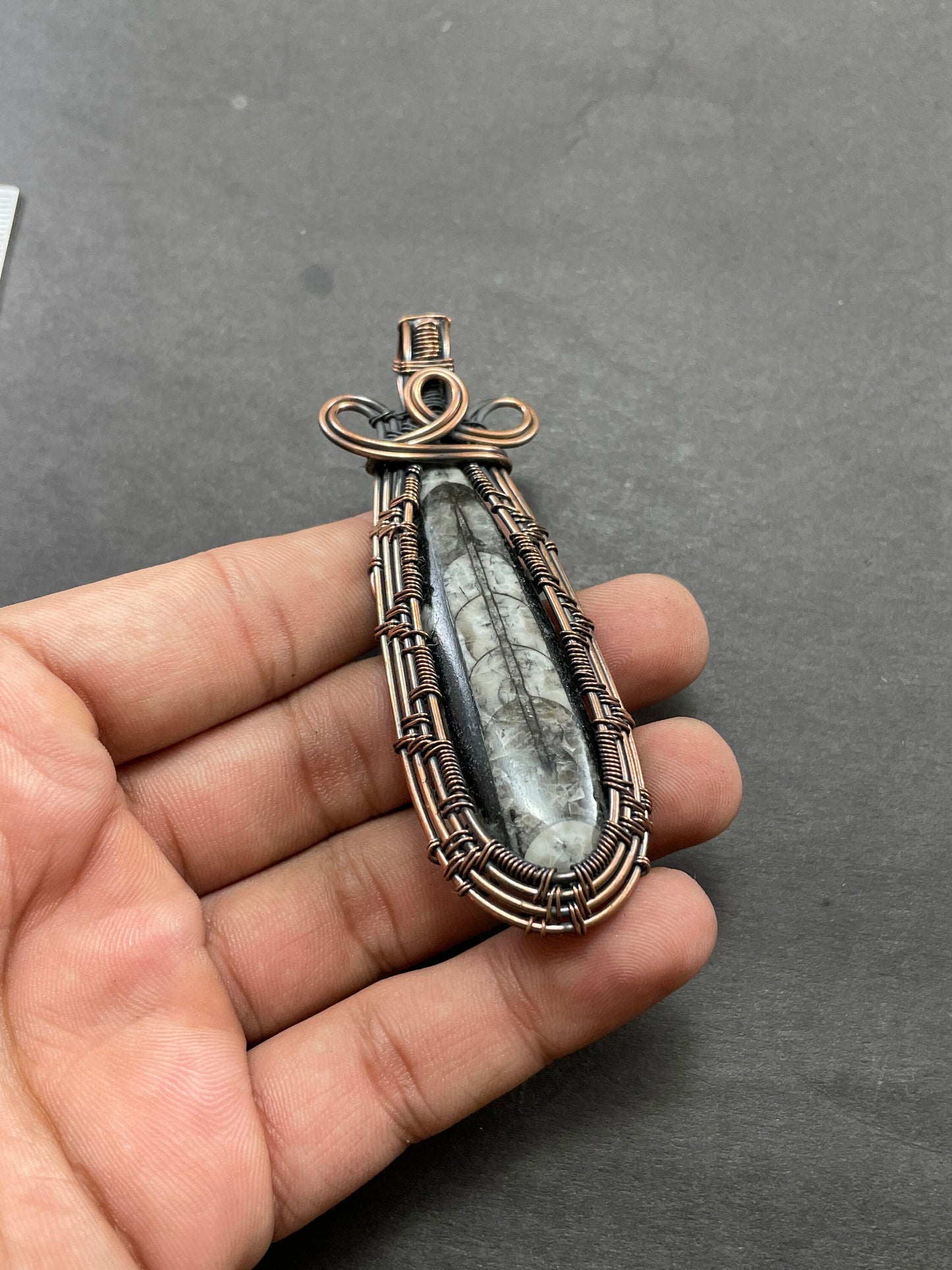 Black Orthoceras Gemstone Pendant