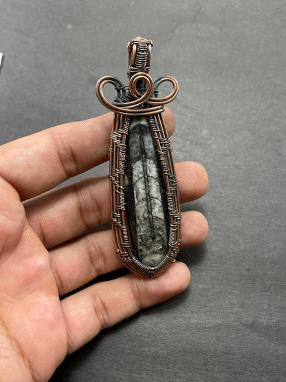 Black Orthoceras Gemstone Pendant