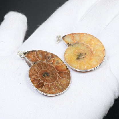 Brown Ammonite Gemstone Pendant