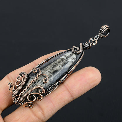 Black Orthoceras Gemstone Pendant