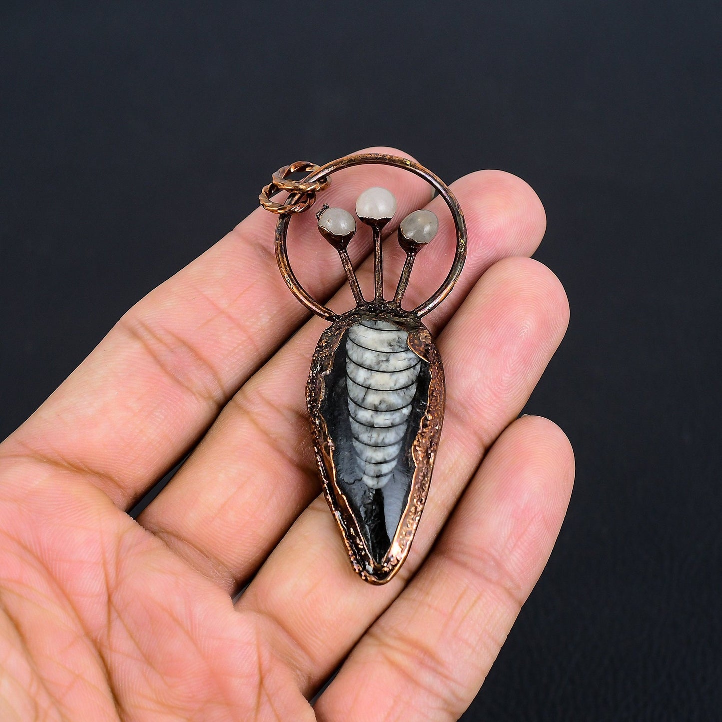 Black Orthoceras Gemstone Pendant