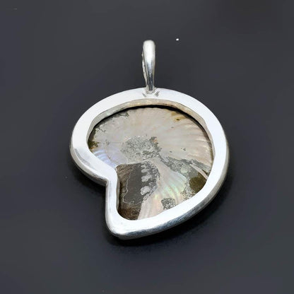 Large Brown Ammonite Gemstone Pendant