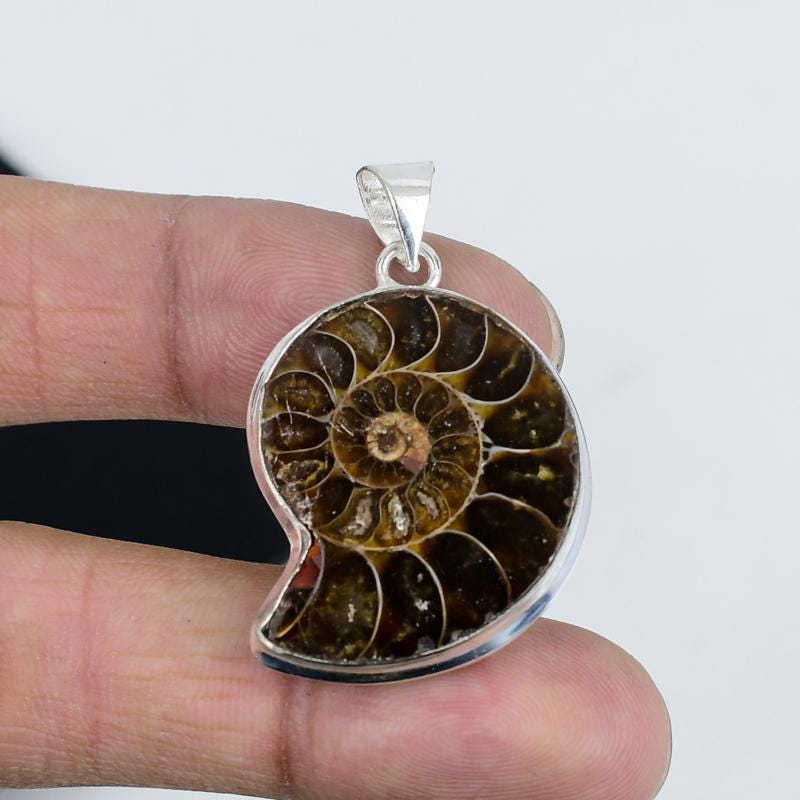 Brown Ammonite Gemstone Pendant