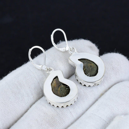 Brown Ammonite Gemstone Earrings