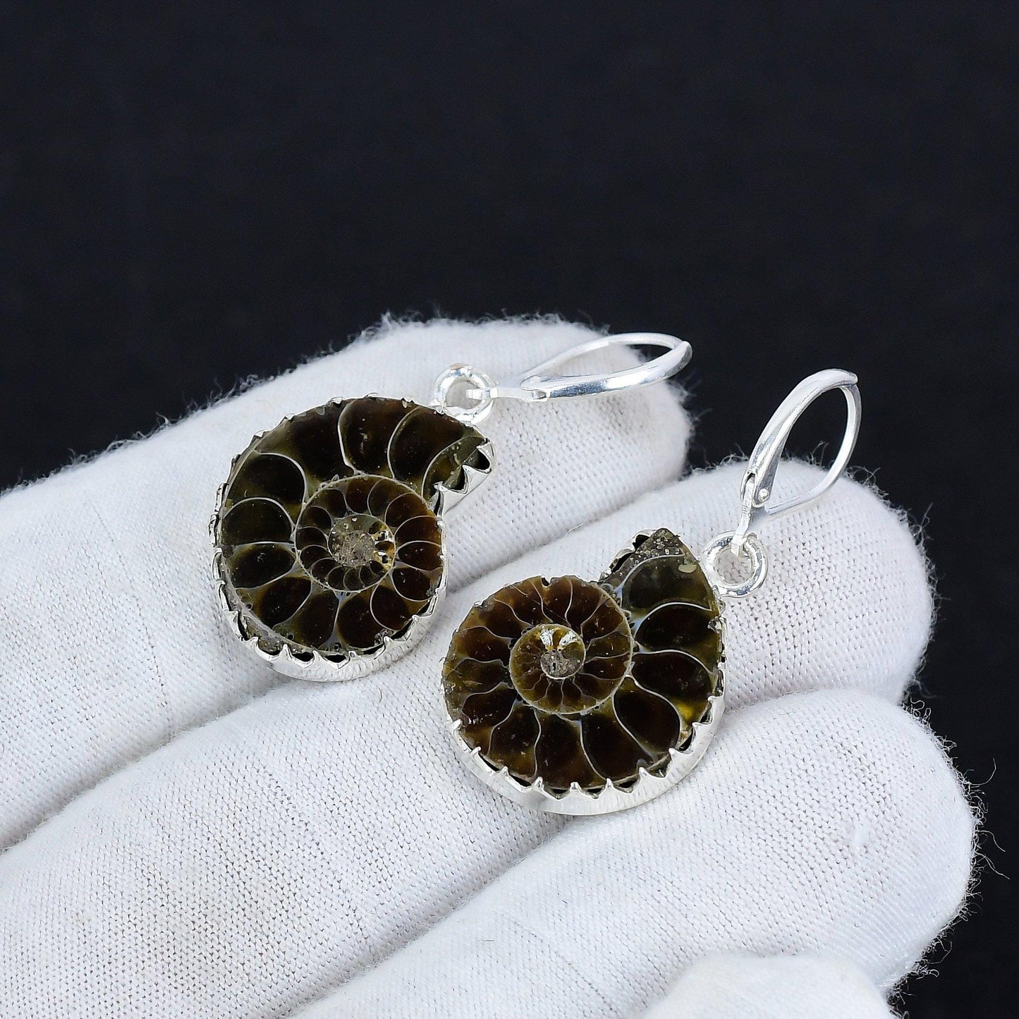 Brown Ammonite Gemstone Earrings